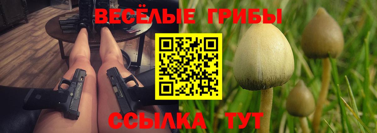 Галлюциногенные грибы ЛСД Тейково
